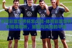 体育彩票世界杯怎么赔-体育彩票世界杯赔率解析，策略与风险的平衡