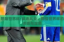 想赌世界杯-球场风云，燃情世界杯的诱惑与深思