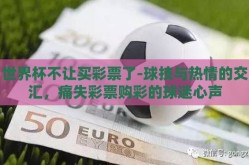 世界杯不让买彩票了-球技与热情的交汇，痛失彩票购彩的球迷心声