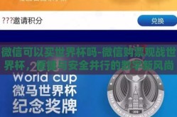 微信可以买世界杯吗-微信购票观战世界杯，便捷与安全并行的数字新风尚