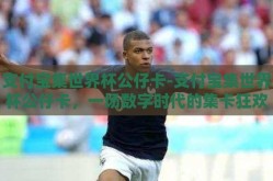 支付宝集世界杯公仔卡-支付宝集世界杯公仔卡，一场数字时代的集卡狂欢