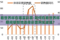 看世界杯在哪买彩票-如何在看世界杯期间明智地选择彩票购买渠道？