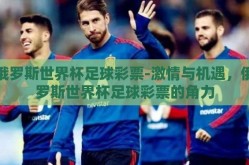 俄罗斯世界杯足球彩票-激情与机遇，俄罗斯世界杯足球彩票的角力