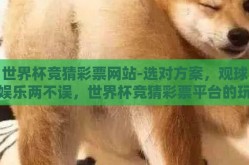 世界杯竞猜彩票网站-选对方案，观球娱乐两不误，世界杯竞猜彩票平台的玩法与注意事项