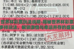 世界杯彩票玩法说明-揭秘世界杯彩票多样玩法，解锁激情与幸运并存的盛宴
