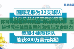 体育彩票世界杯奖金-体坛新风向，揭秘世界杯体育彩票的激情与奖金魅力