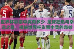 世界杯彩票中奖有多少-足球狂热与幸运之匙，揭秘世界杯彩票中奖的奇妙之旅
