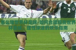 怎么赌世界杯足球-如何合理观赏世界杯足球，理性球迷的欢乐指南