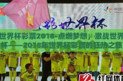 世界杯彩票2018-点燃梦想，激战世界杯——2018年世界杯彩票的狂热之旅