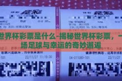 世界杯彩票是什么-揭秘世界杯彩票，一场足球与幸运的奇妙邂逅