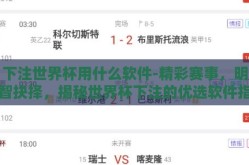 下注世界杯用什么软件-精彩赛事，明智抉择，揭秘世界杯下注的优选软件指南