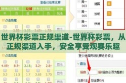 世界杯彩票正规渠道-世界杯彩票，从正规渠道入手，安全享受观赛乐趣
