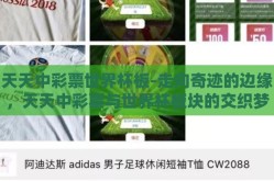 天天中彩票世界杯板-走向奇迹的边缘，天天中彩票与世界杯板块的交织梦