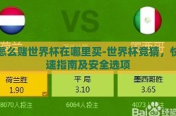 怎么赌世界杯在哪里买-世界杯竞猜，快速指南及安全选项