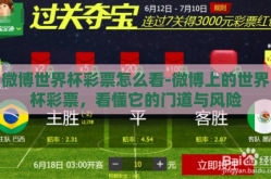 微博世界杯彩票怎么看-微博上的世界杯彩票，看懂它的门道与风险