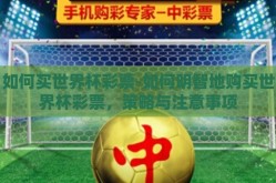 如何买世界杯彩票-如何明智地购买世界杯彩票，策略与注意事项