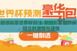 新浪彩票世界杯投注-新浪彩票世界杯，投注的激情与谨慎