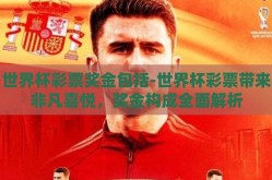 世界杯彩票奖金包括-世界杯彩票带来非凡喜悦，奖金构成全面解析