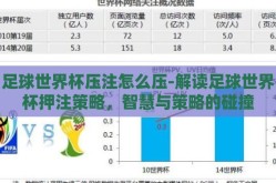 足球世界杯压注怎么压-解读足球世界杯押注策略，智慧与策略的碰撞