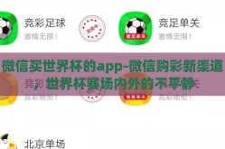 微信买世界杯的app-微信购彩新渠道，世界杯赛场内外的不平静