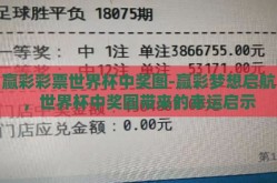 赢彩彩票世界杯中奖图-赢彩梦想启航，世界杯中奖图带来的幸运启示