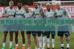 世界杯彩票攻略-解析世界杯彩票策略，提升胜算的艺术