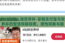支付宝怎么赌世界杯-掌握支付宝与世界杯的智慧观赛指南，理性观赛与趣味互动