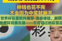 世界杯彩票软件推荐-亲身体验，解锁世界杯观赛乐趣——不可错过的彩票应用推荐