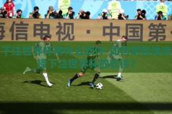 下注世界杯用什么软件-如何明智地选择下注世界杯的软件？
