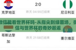 微信能看世界杯吗-从指尖到绿茵场，微信与世界杯的奇妙邂逅