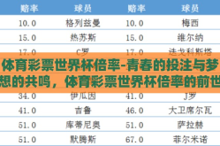 体育彩票世界杯倍率-青春的投注与梦想的共鸣，体育彩票世界杯倍率的前世今生