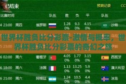世界杯胜负比分彩票-激情与概率，世界杯胜负比分彩票的奇幻之旅