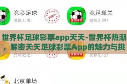 世界杯足球彩票app天天-世界杯热潮，解密天天足球彩票App的魅力与挑战