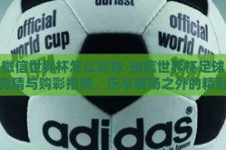 微信世界杯怎么买球-微信世界杯足球竞猜与购彩指南，乐享赛场之外的精彩