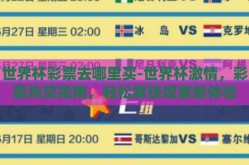 世界杯彩票去哪里买-世界杯激情，彩票购买指南，轻松解锁观赛新体验