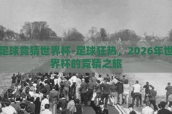 足球竞猜世界杯-足球狂热，2026年世界杯的竞猜之旅