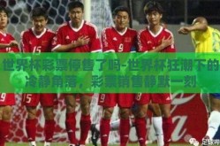 世界杯彩票停售了吗-世界杯狂潮下的冷静角落，彩票销售静默一刻