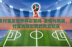 支付宝买世界杯彩票吗-激情与挑战，支付宝购球彩票的风云纪实