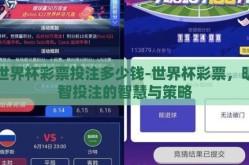 世界杯彩票投注多少钱-世界杯彩票，明智投注的智慧与策略