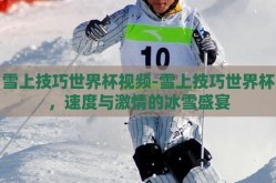 雪上技巧世界杯视频-雪上技巧世界杯，速度与激情的冰雪盛宴