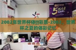 2002年世界杯体∏彩票-2002，世界杯之夏的体彩记忆