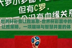 世界杯彩票让胜意思-世界杯彩票中的让胜策略，一项趣味与智慧并重的体育经济活动