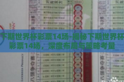 下期世界杯彩票14场-揭秘下期世界杯彩票14场，深度布局与策略考量