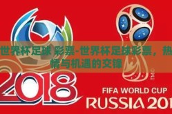 世界杯足球 彩票-世界杯足球彩票，热情与机遇的交锋