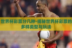 世界杯彩票分几种-揭秘世界杯彩票的多样类型与玩法