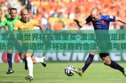 怎么赌世界杯在哪里买-激活你的足球热情，看透世界杯球赛的合法渠道与精彩之处