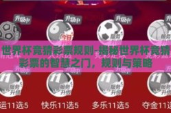 世界杯竞猜彩票规则-揭秘世界杯竞猜彩票的智慧之门，规则与策略