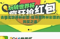 去哪买世界杯彩票-探寻世界杯彩票的购买之道