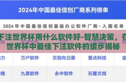 下注世界杯用什么软件好-智慧决策，在世界杯中最佳下注软件的缓步揭秘