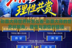 彩票大师世界杯怎么看-彩票大师的世界杯视角，理性与激情的碰撞